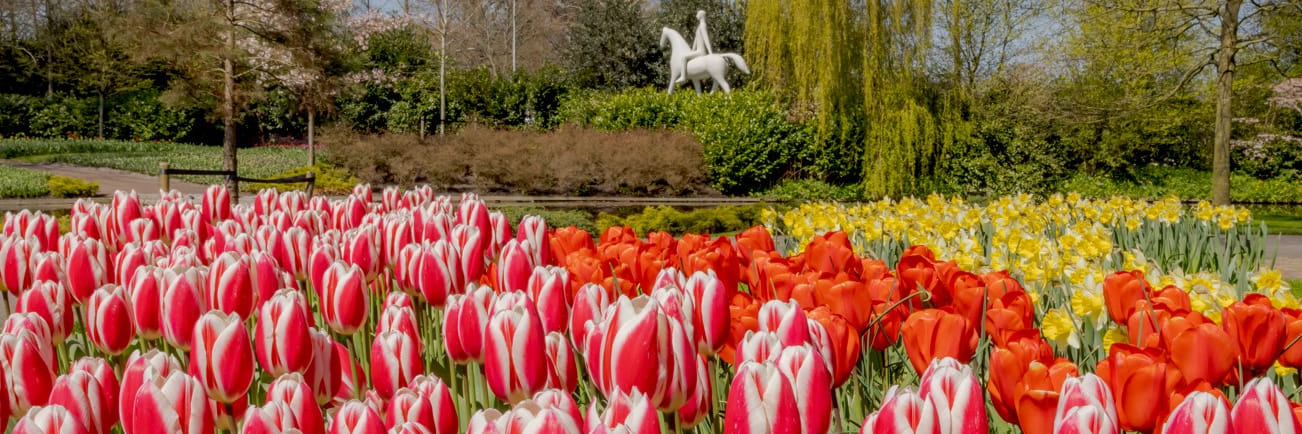 Generieke afbeelding van de achtergrond afbeelding